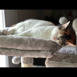 Meet your Posher, Don